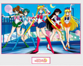 Sailor Moon Group Framed Art Print